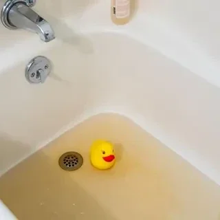 Sewage-Backup Sewage Backup